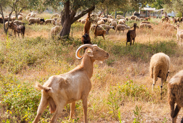 Similar image 21169495