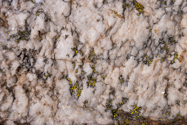 Similar image 21169501