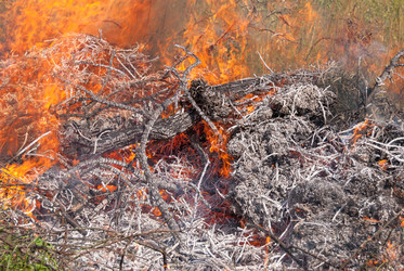 Similar image 21169713