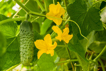 Similar image 21169714