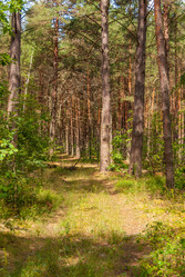 Similar image 21169723