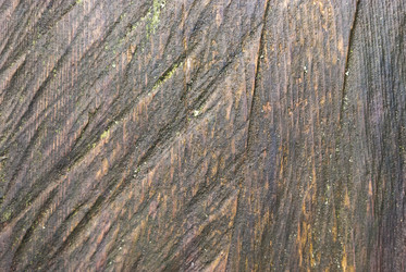 Similar image 21169724