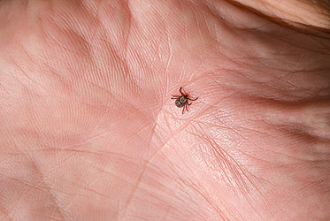 Similar image 21169725