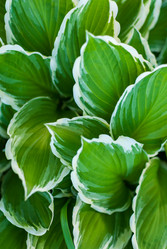 Similar image 21169727