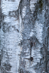 Similar image 21169730