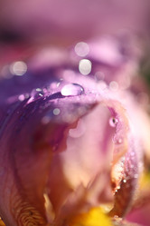 Similar image 21200299