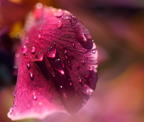 Similar image 21200300