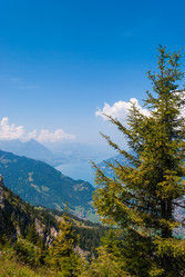 Similar image 21166373