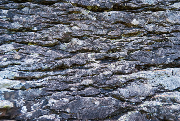 Similar image 21166491