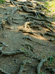 Similar image 21166494