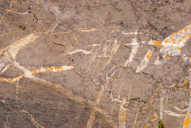 Similar image 21166532