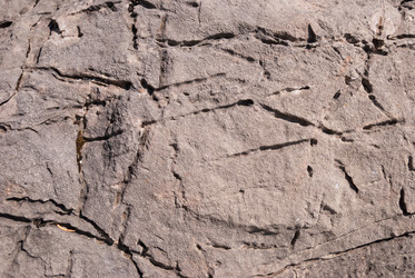 Similar image 21166533