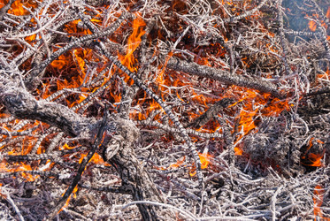 Similar image 21166536