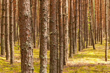 Similar image 21166803