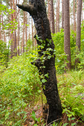 Similar image 21166804