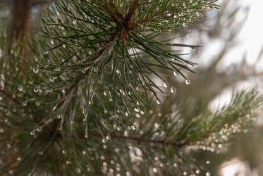 Similar image 21166805