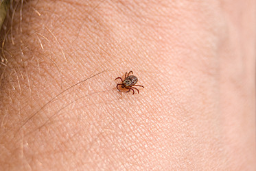 Similar image 21166806