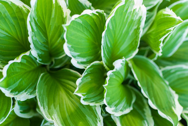 Similar image 21166808