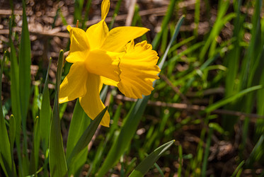 Similar image 21166815