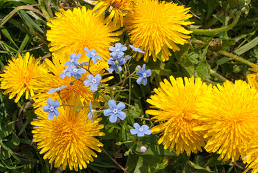 Similar image 21166819