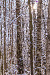 Similar image 21169514