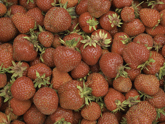 Similar image 21169733