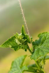 Similar image 21166376