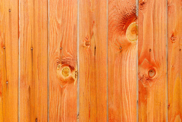 Similar image 21166496