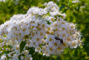 Similar image 21166580