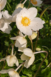 Similar image 21166581