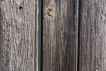 Similar image 21166582