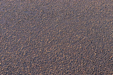 Similar image 21166843