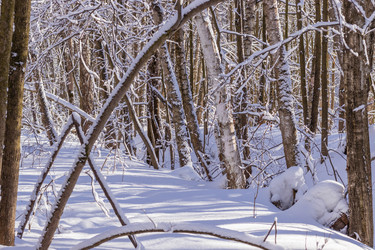 Similar image 21166844