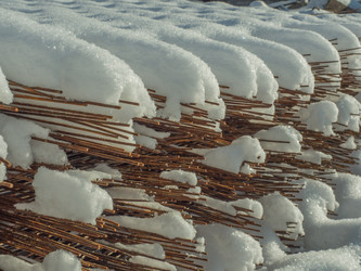 Similar image 21169287