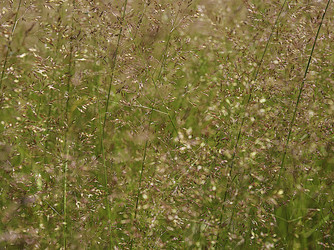 Similar image 21169379