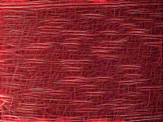 Similar image 21169381