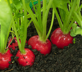 Similar image 21169383