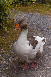 Similar image 21169387