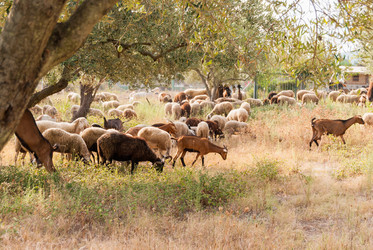 Similar image 21169326