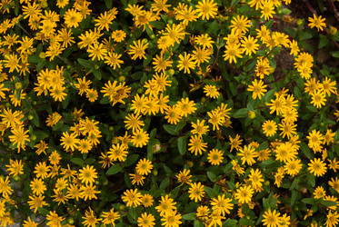 Similar image 21169523