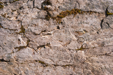 Similar image 21169527