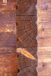 Similar image 21169529