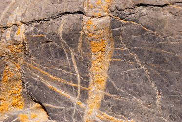 Similar image 21169531