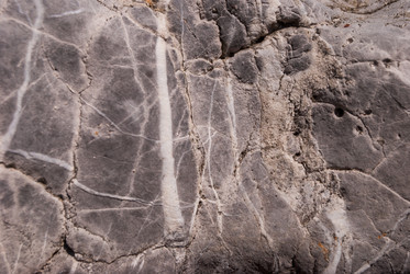 Similar image 21169532