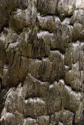 Similar image 21169744