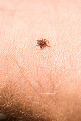 Similar image 21169747