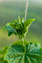 Similar image 21169749