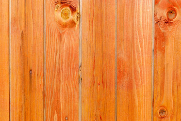 Similar image 21169753