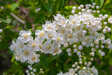 Similar image 21169760