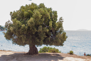 Similar image 21138119